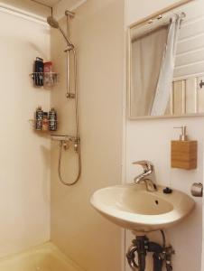 阿克拉内斯Bard Cottage的一间带水槽、镜子和淋浴的浴室