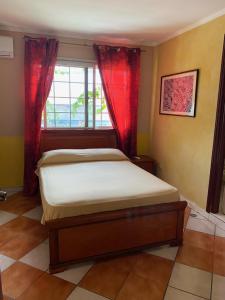 巴拿马城Canal Inn B&B Panama的一间卧室设有一张床和一个窗口