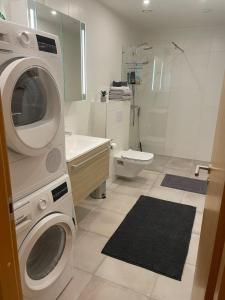 塔林Penthouse Kadriorg的浴室配有洗衣机和烘干机。
