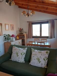 阿尔巴拉辛Apartamentos El Brezo的客厅里配有带两个枕头的绿色沙发