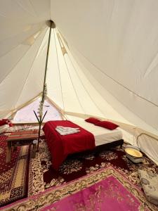 ḨawīyahStarwatching Private Camp的帐篷内一间卧室,配有一张床