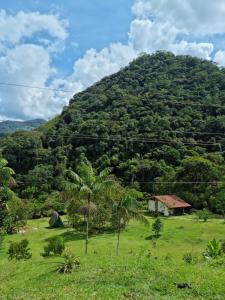 圣拉菲尔La Perla Negra - Black Pearl Eco Hostel的山坡上,有树田的房子