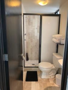 墨西哥城锡那罗亚46公寓的带淋浴、卫生间和盥洗盆的浴室