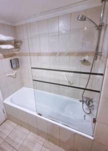 圣地亚哥帕纳美丽嘉纳普罗维登西亚酒店的浴室设有带玻璃淋浴的浴缸