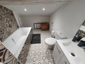 圣加尔米耶FOREZ - Appartement atypique et authentique的带浴缸、卫生间和盥洗盆的浴室