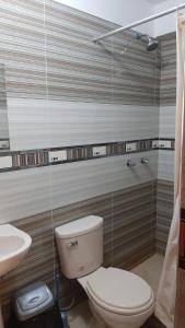 瓦拉斯Alpino Guest House的一间带卫生间和水槽的浴室