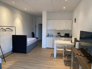 戈赫Apartment mit vier Einzelboxspringbetten - Netflix的一间设有厨房和客厅的客房