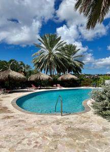Blue BayBlue Bay BEACH Villa 25 3-min beach-pool-golf的一座棕榈树环绕的游泳池