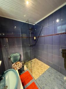 勒拉芒坦Poseidon的带淋浴、卫生间和盥洗盆的浴室