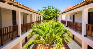 圣玛尔塔Hotel Los Veleros Santa Marta的棕榈树建筑的庭院