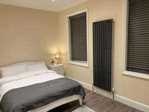 伦敦BEAUTIFUL ROOMS ONLY FEW STEPS AWAY FROM BRUCE GROVE TOTTENHAM STADIUM的一间卧室设有一张床和两个窗户。