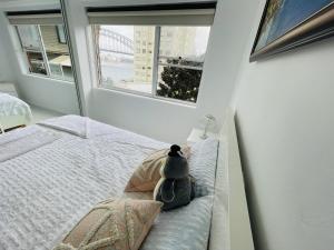 悉尼Spectacular Views of Sydney Harbour with Free Parking的一只塞满了动物的睡床,放在卧室里