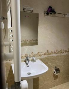 梅斯蒂亚Hotel White Mountains • თეთრი მთები的浴室设有水槽和墙上的镜子,墙上有鸟儿