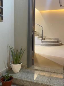 利雅德Riyadh Salman Villa فيلا的开放式的门,有盆栽和楼梯