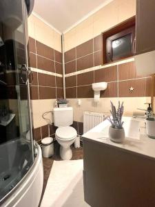 布雷亚扎Vila Roxy的一间带卫生间和水槽的浴室
