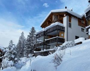 BrienzJust 10min from Lenzerheide - Apartment in Vazerol的雪地中的一座建筑,有雪覆盖的树木