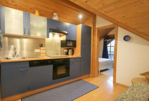 哈尔布莱希Ferienwohnung Am Mühlbach 2的厨房配有蓝色橱柜和炉灶烤箱。