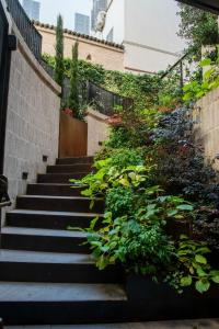 帕尔马Bellacorte Gentiluogo per Viaggiatori的一套楼梯,在建筑物旁边,有植物