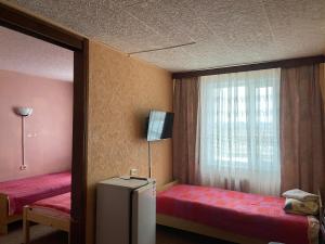 叶尔加瓦Riverside Motel Jelgava的小房间设有窗户和冰箱
