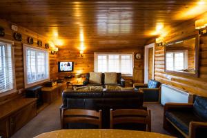 特兹西尼德Mountain View Log Cabin - Wales的小木屋内的客厅配有沙发和电视