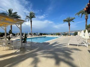 帕福斯Vrachia Beach Hotel & Suites - Adults Only的度假村内带椅子和棕榈树的游泳池