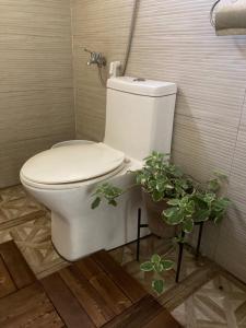 伊洛伊洛Balai Lawaan Cozy Homestay的植物浴室内的白色厕所