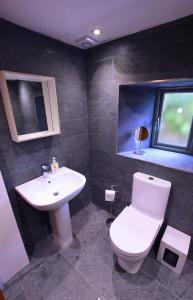 LuibBridge Cottage的浴室配有白色卫生间和盥洗盆。