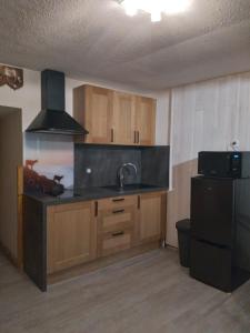 沃雅尼Le Perce Neige的厨房配有水槽和冰箱