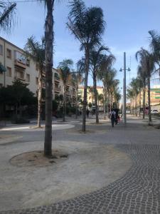 阿利坎特Victoria Hospedaje的街上的一群棕榈树