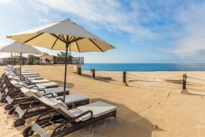 卡波圣卢卡斯培亚大海滩度假村的海滩上一排椅子和一把遮阳伞