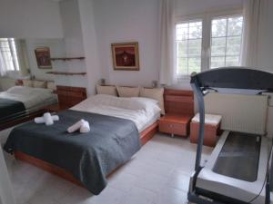 塞萨洛尼基Villa in Panorama, Thessaloniki, with a swimming pool. Host: Mr. George的一间卧室配有两张床和一个跑步机