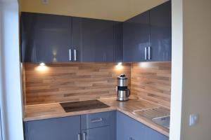 柏林Secret Studio Lux SPECIAL OFFER的厨房配有蓝色橱柜和台面上的咖啡壶
