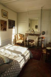 Bouillancourt-en-SéryChâteau de Bouillancourt en Sery的一间卧室设有一张大床和一个壁炉