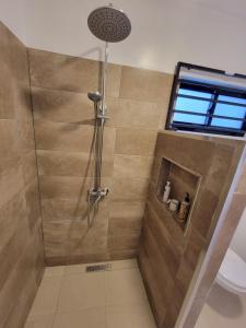 帕拉马里博Modern - Wan Pipel with Terrace的带淋浴和卫生间的浴室
