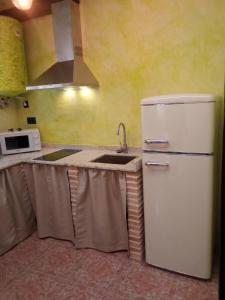 托莱多SEÑORÍO DE ORGAZ II的厨房配有白色冰箱和水槽