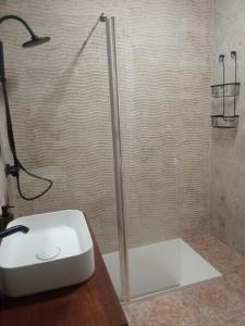 托莱多SEÑORÍO DE ORGAZ II的浴室里设有玻璃门淋浴