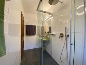 瓦格赖恩Oberleiten Apartments的一间带玻璃淋浴和水槽的浴室