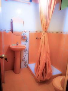 科帕卡巴纳HOSTAL Luz YHOBIMAR的一间带水槽和淋浴帘的浴室