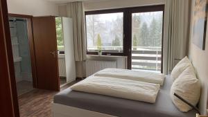 阿尔特瑙Pension Harzkieker的一间卧室设有一张床和一个大窗户