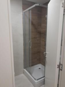 VoždivacApartman Marija的浴室里设有玻璃门淋浴