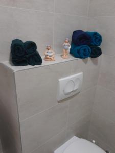 VoždivacApartman Marija的一间带卫生间的浴室和架子上的一些毛巾
