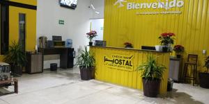 瓜达拉哈拉CHECK INN HOSTAL AEROPUERTO GDL的大堂的黄色墙,有盆栽植物