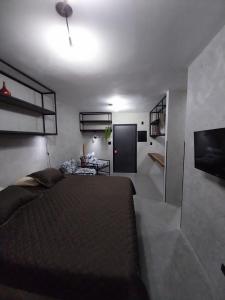圣维森特岛FLAT PALLADIUM - DE FRENTE - novo的一间带大床和电视的卧室