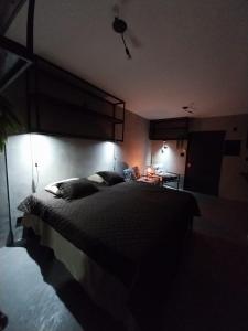 圣维森特岛FLAT PALLADIUM - DE FRENTE - novo的一间位于黑暗客房内的卧室,配有一张大床