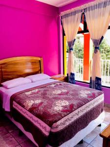 圣佩德罗拉拉古纳Hotel Adulam的一间卧室配有一张粉红色的墙壁和窗户。