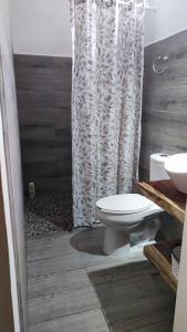 埃斯孔迪多港Casa Sixta的一间带卫生间和淋浴帘的浴室
