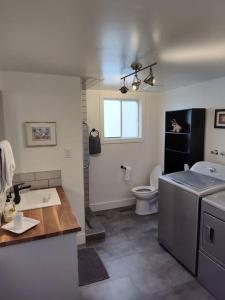 埃德蒙顿Tranquil & Tasteful One Bdrm Private Suite NE的一间带水槽和卫生间的浴室
