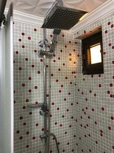 迪迪姆Panormos Hotel的浴室铺有红色和白色瓷砖,设有淋浴。