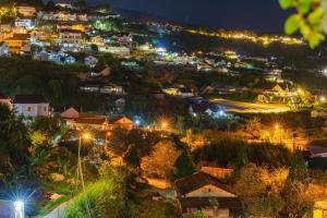 大叻Casa Home - Dalat Valley View的享有小镇的夜间景色