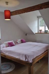 Nordheim vor der RhönGrundmühle Rhön的一间卧室配有一张带紫色枕头的大床